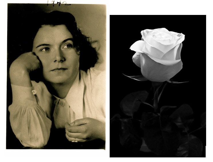 Portrait de Traute Lafrenz, membre du groupe de résistants allemands la Rose Blanche, accoudée, le poing contre la joue. Rose blanche sur fond noir à côté d'elle.