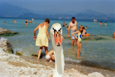 Italie. Lac de Garde. Bords du lac. 1999 Â© Martin Parr / Magnum Photos