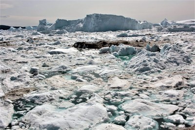 banc d'icebergs 2