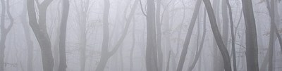 nebel-bandeau.jpg