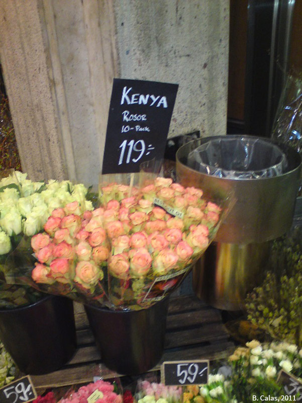 Bouquets de roses en provenance du Kenya en vente chez un fleuriste de Stockholm