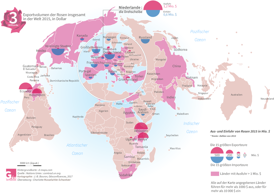 carte du marché mondial des roses