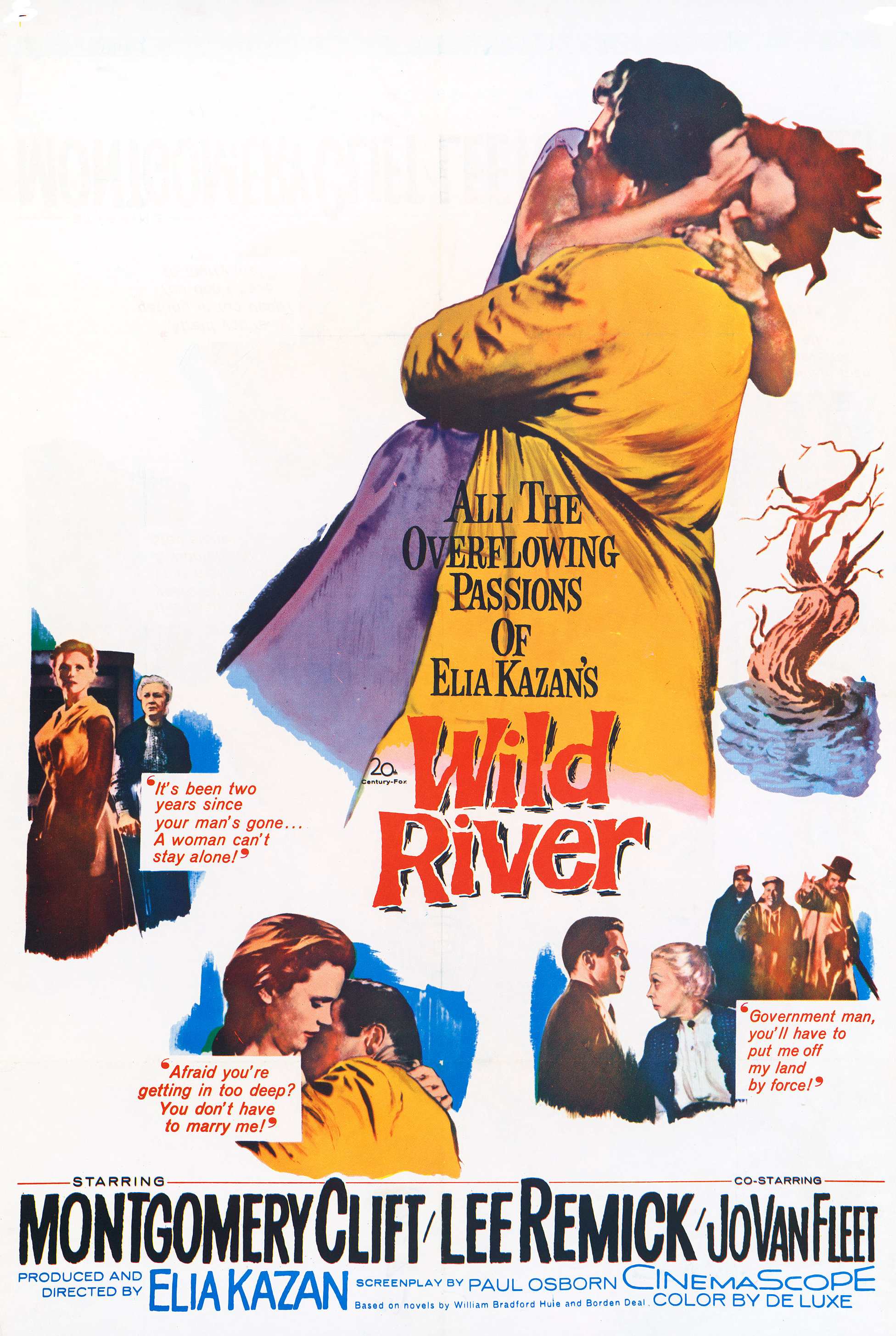 Wild River - Elia Kazan