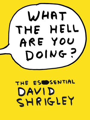 shrigley4_1369142468154-png