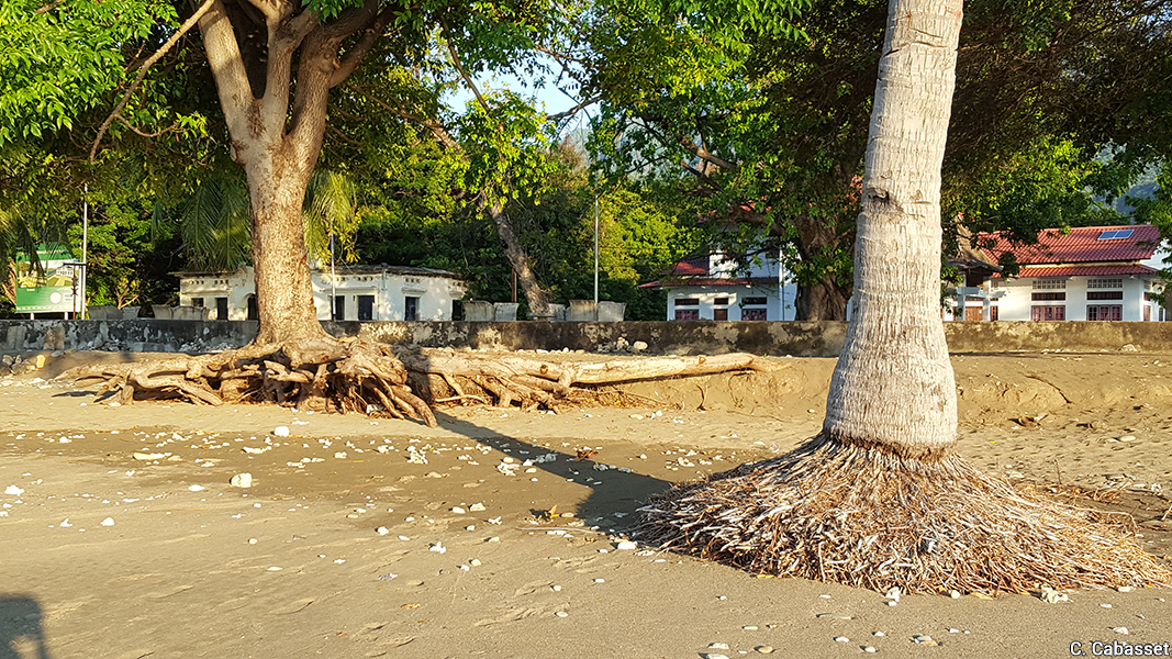 Timor doc12 PanteMakassar Erosion cotiere 2018