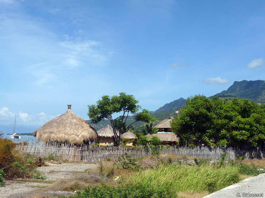 Timor Ecolodge P1100563