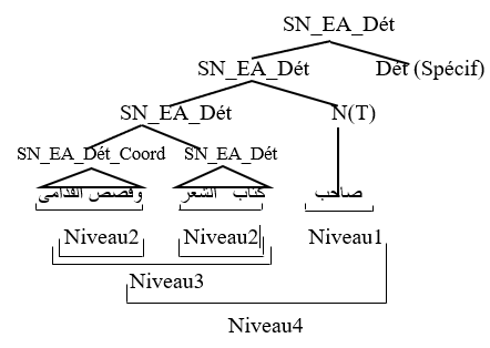 COMPL2MENT COORDINATION