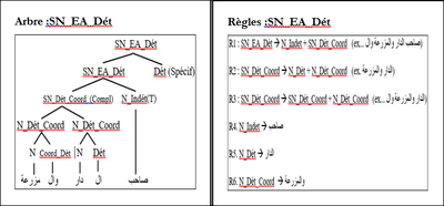 figure 15 complément de SN