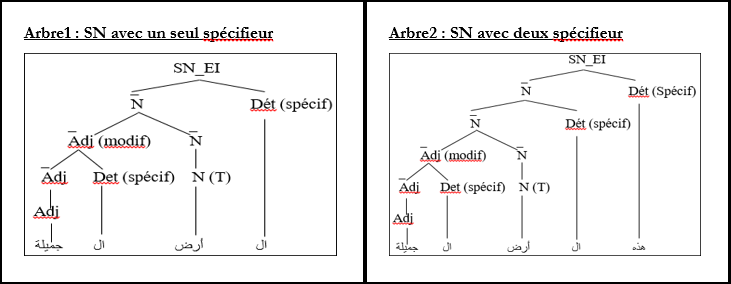 figure 6 particularité