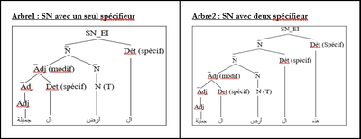 figure 6 particularité