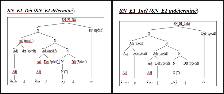 figure 7 le déterminant