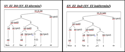 figure 7 le déterminant