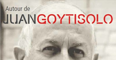 Goytisolo4.jpg