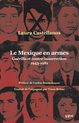 mexique-armes-site.jpg