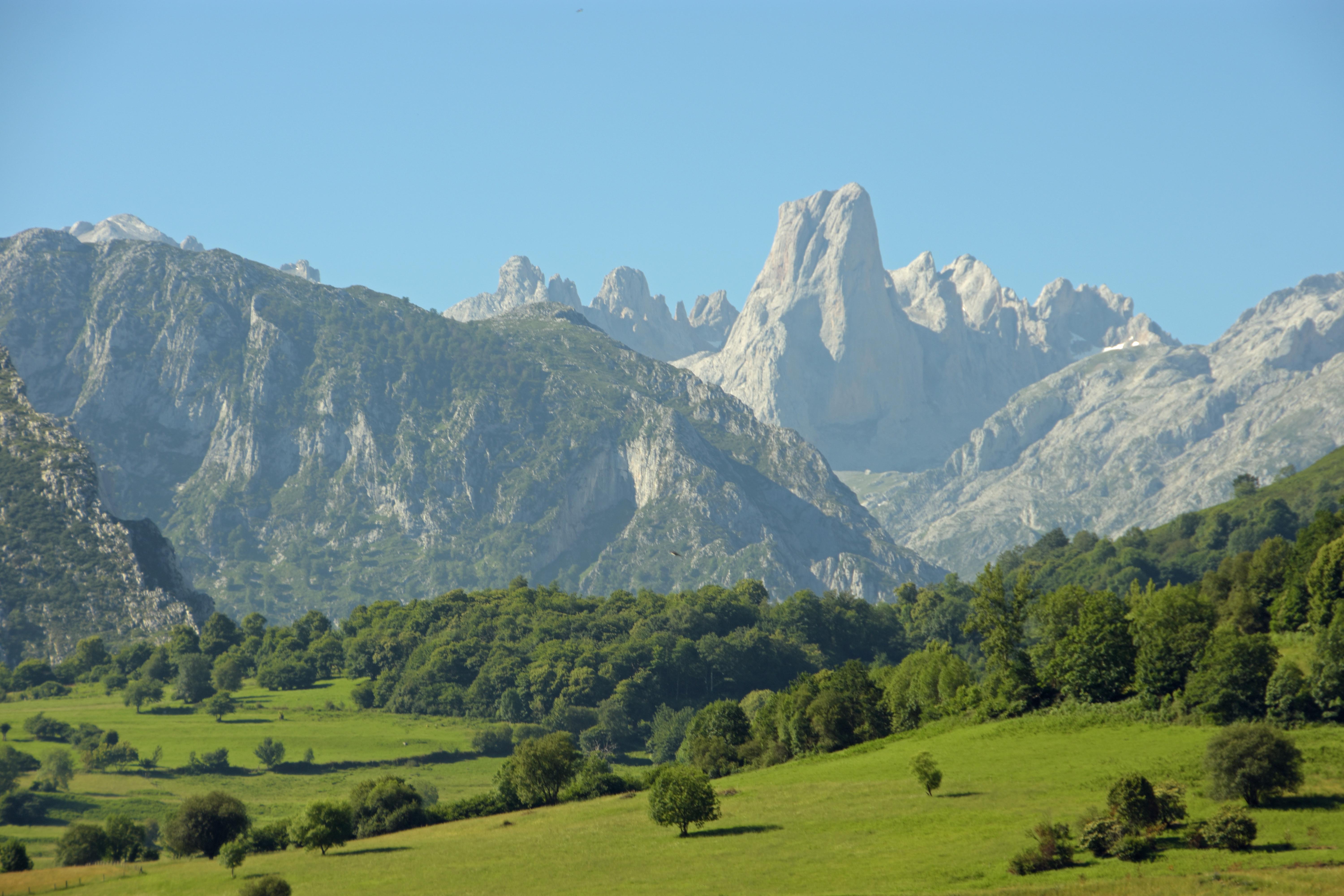 Picos de Europa