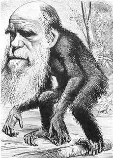 Darwin caricaturé avec un grand corps de singe, dans le magazine Hornet