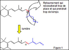 Proteine-spectroscopie_fig-1.jpg