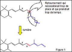 Proteine-spectroscopie_fig-1.jpg