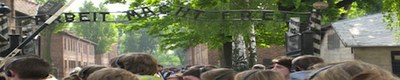 3531714982_30c03b9026_b.jpg 3531714982_30c03b9026_b.jpg