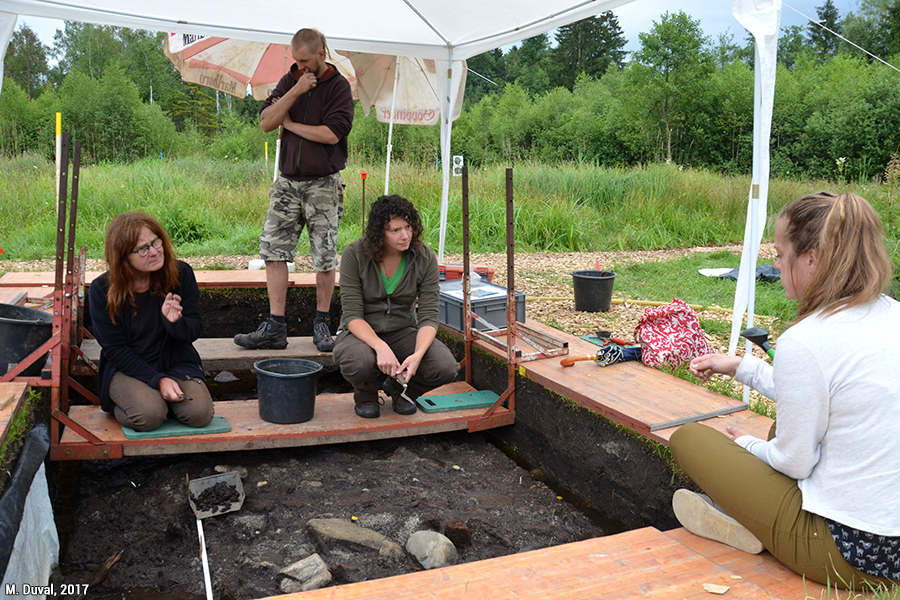 Intervista agli archeologi del sito di Olzreute-Enzisholz a Bad Schussenried al nord del lago di Costanza, che è oggetto di scavi archeologici occasionali. Fotografia di Mélanie Duval, agosto 2017.