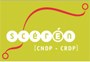 CNDP CNDP